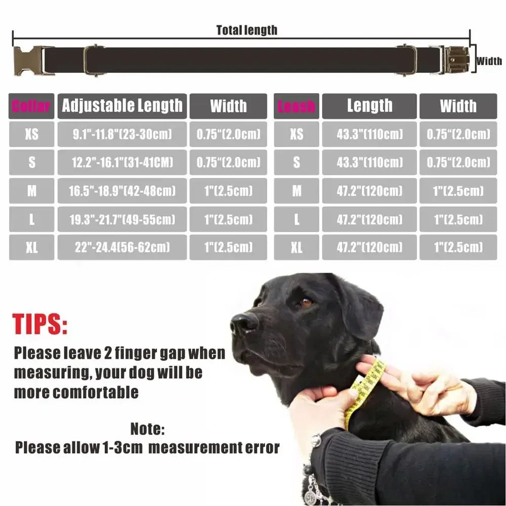 Personalized Dog Collar Custom Pet Collar Free Engraving ID Name Tag Pet Accessory Lovely Puppy Collar Leash