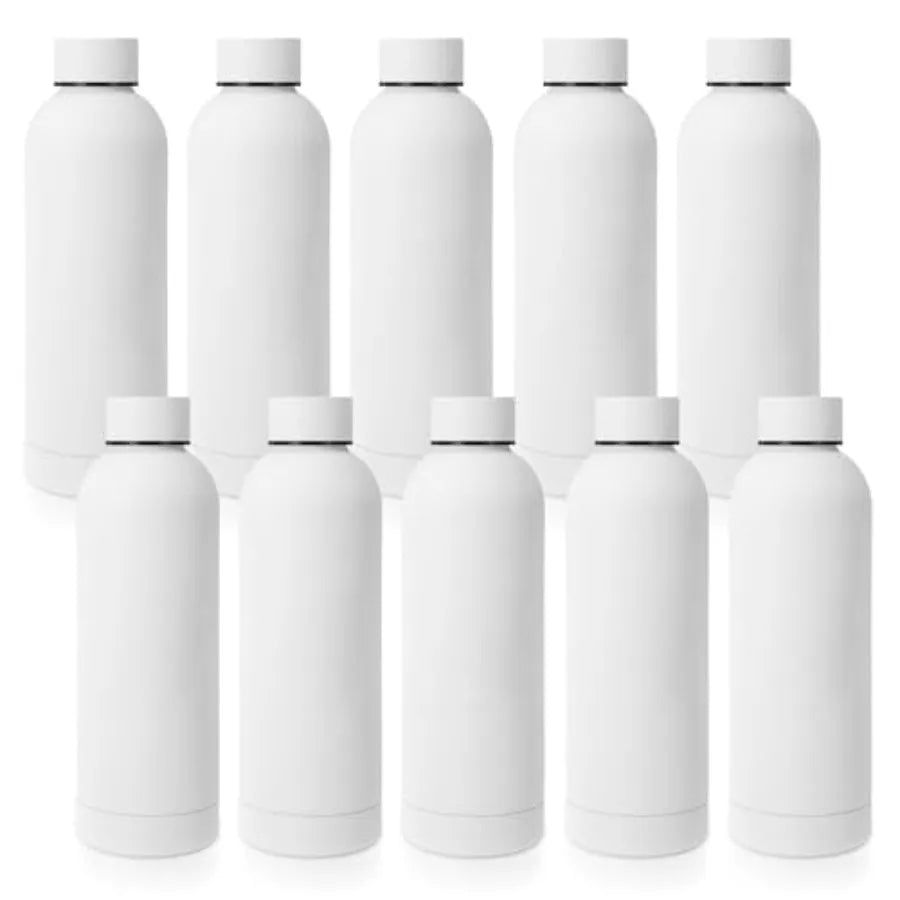 10 Pcs Stainless Steel Water Bottle Bulk Teacher Employee Appreciation Gifts School Double Layer Vacuum 17 oz Small Mouth Sport